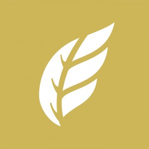 real life college ministry gold leaf logo